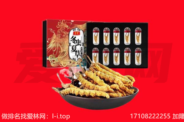 吉利区回收虫草.jpg